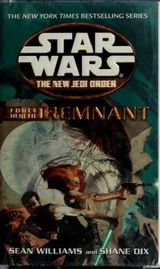 Cover of Star Wars - The New Jedi Order - Force Heretic I - Remnant
