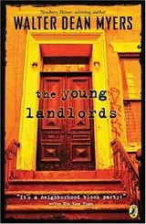 Cover of The young landlords