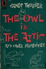 Cover of The owl in the attic