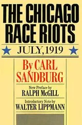 Cover of The Chicago race riots