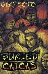 Cover of Buried onions