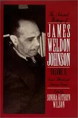 Cover of The selected writings of James Weldon Johnson