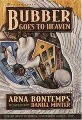 Cover of Bubber goes to Heaven