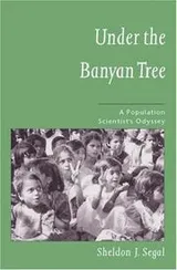 Cover of Under the Banyan Tree