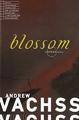 Cover of Blossom
