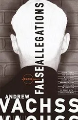 Cover of False Allegations