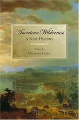 Cover of American Wilderness