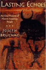 Cover of Lasting Echoes
