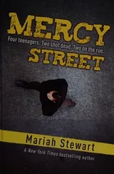 Cover of Mercy Street
