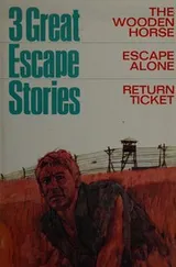 Cover of Three great escape stories