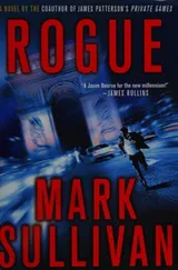 Cover of Rogue