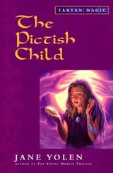 Cover of The Pictish Child