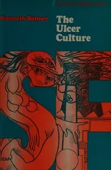 Cover of The ulcer culture