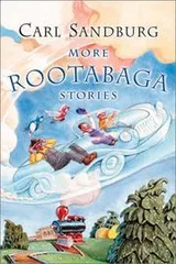 Cover of More Rootabaga stories