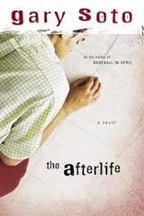 Cover of The afterlife