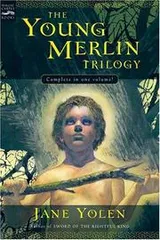 Cover of Young Merlin Trilogy