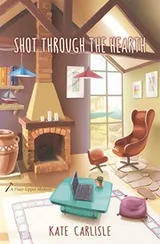 Cover of Shot Through the Hearth
