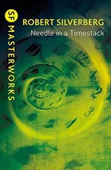 Cover of Needle in a timestack