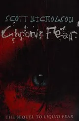 Cover of Chronic fear