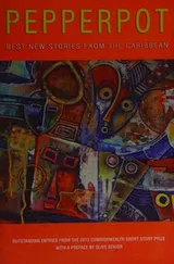 Cover of Pepperpot
