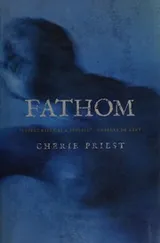 Cover of Fathom