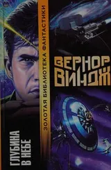 Cover of Glubina v nebe