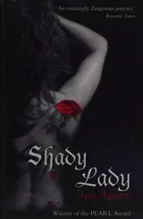 Cover of Shady lady