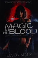 Cover of Magic in the Blood