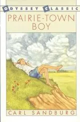 Cover of Prairie-town boy