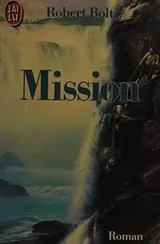 Cover of The mission