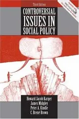 Cover of Controversial issues in social policy