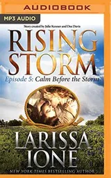 Cover of Calm Before the Storm