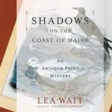 Cover of Shadows on the Coast of Maine