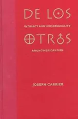 Cover of De los Otros