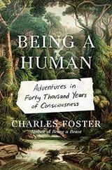 Cover of Being a Human