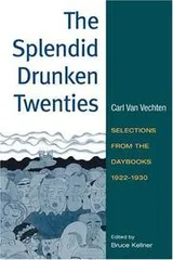 Cover of The splendid drunken twenties