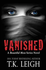 Cover of Vanished