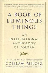 Cover of A Book of Luminous Things