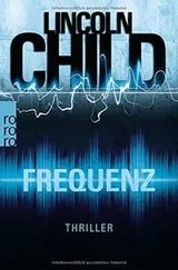 Cover of Frequenz