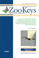 Cover of Calosota Curtis (Hymenoptera, Chalcidoidea, Eupelmidae) – review of the New World