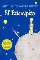 Cover of El principito (Spanish)
