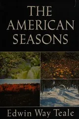 Cover of The American seasons