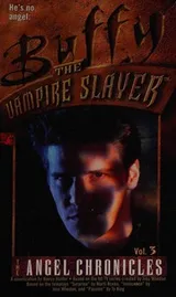 Cover of The Angel chronicles