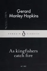 Cover of As Kingfishers Catch Fire