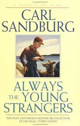 Cover of Always the young strangers
