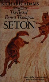 Cover of The Best Of Ernest Thompson Seton