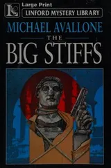 Cover of The Big Stiffs
