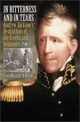 Cover of In bitterness and in tears