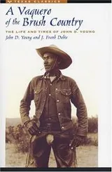 Cover of A vaquero of the brush country