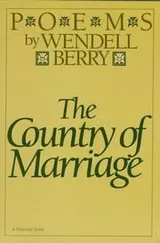 Cover of The country of marriage